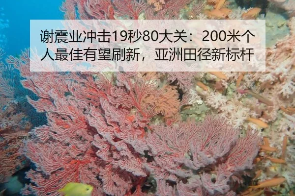 xie-zhen-ye-chong-ji-miao-da-guan-mi-ge-ren-zui-jia-you-wang-shua-xin-ya-zhou-tian-jing-xin-biao-gan-2-567.jpg