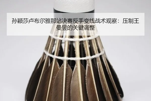 孙颖莎卢布尔雅那站决赛反手变线战术观察：压制王曼昱的关键调整