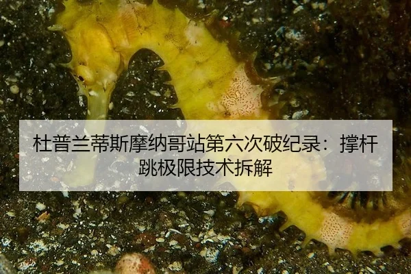 杜普兰蒂斯摩纳哥站第六次破纪录：撑杆跳极限技术拆解